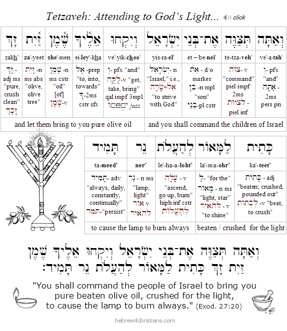 Exodus 20:27 Hebrew lesson